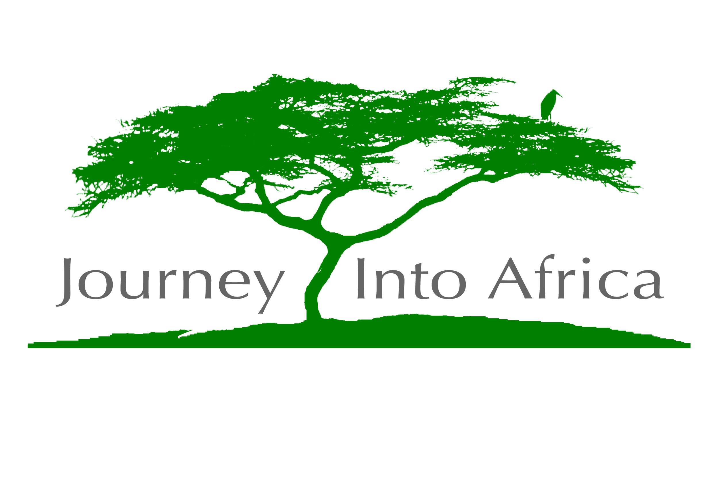 Journey Into Africa