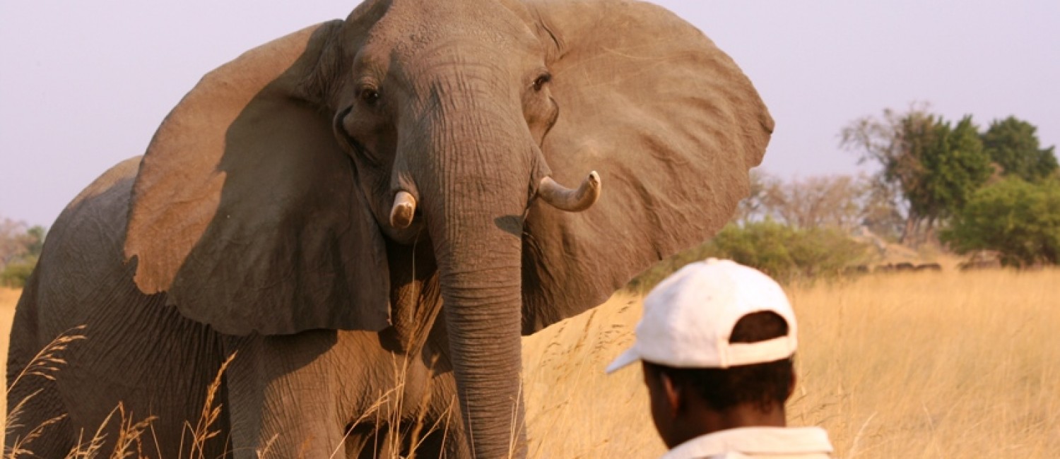 Tracker system often used in Botswana