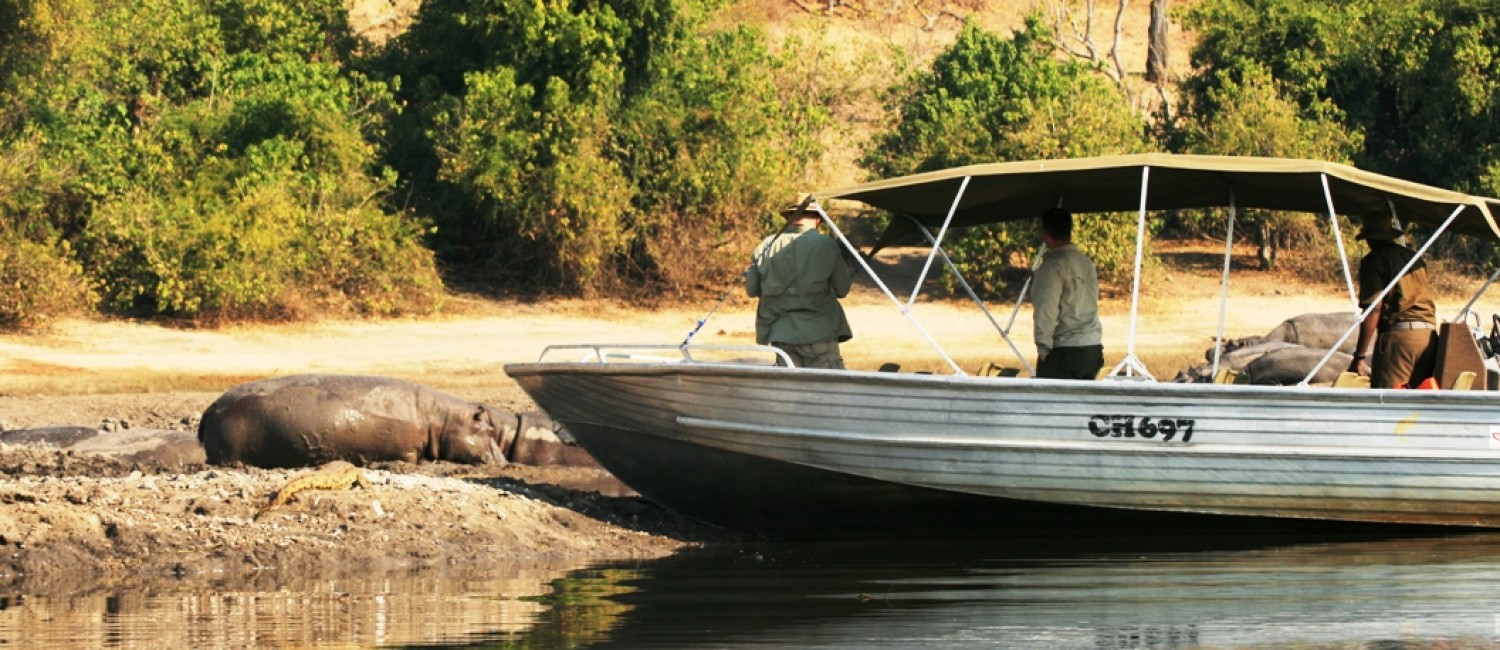 Boat safaris