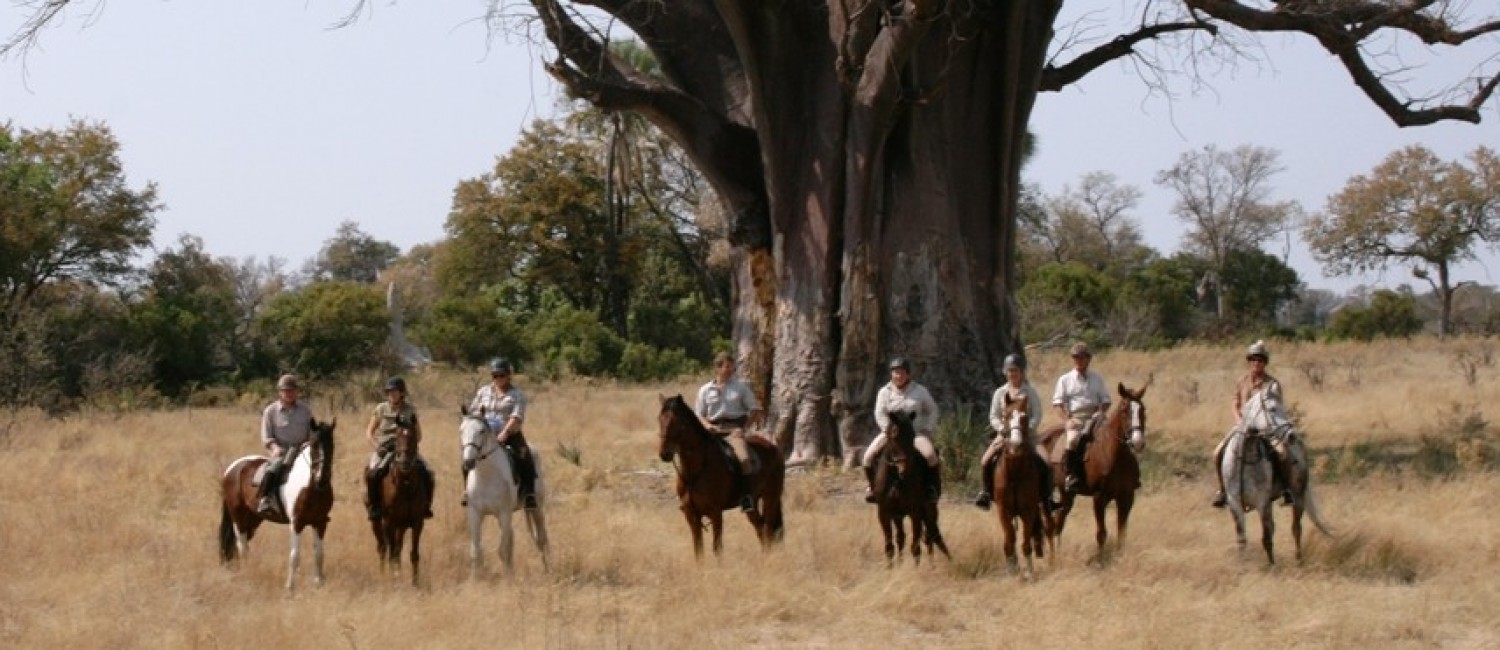 Riders & baobab