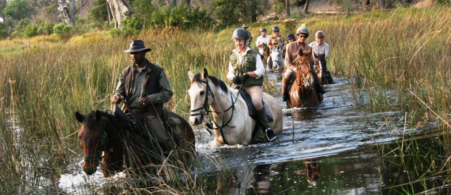 Riding in the Delta