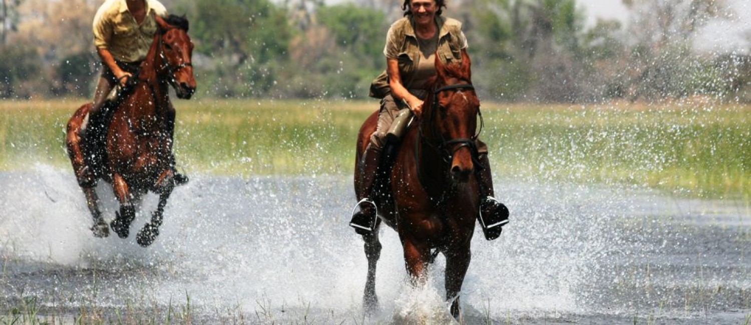 Water canters - pure fun!