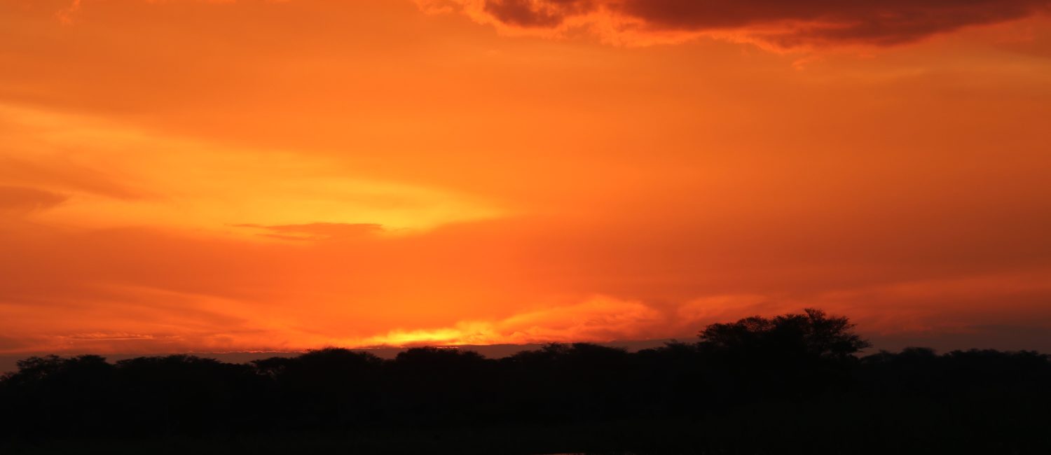 Spectacular sunsets!