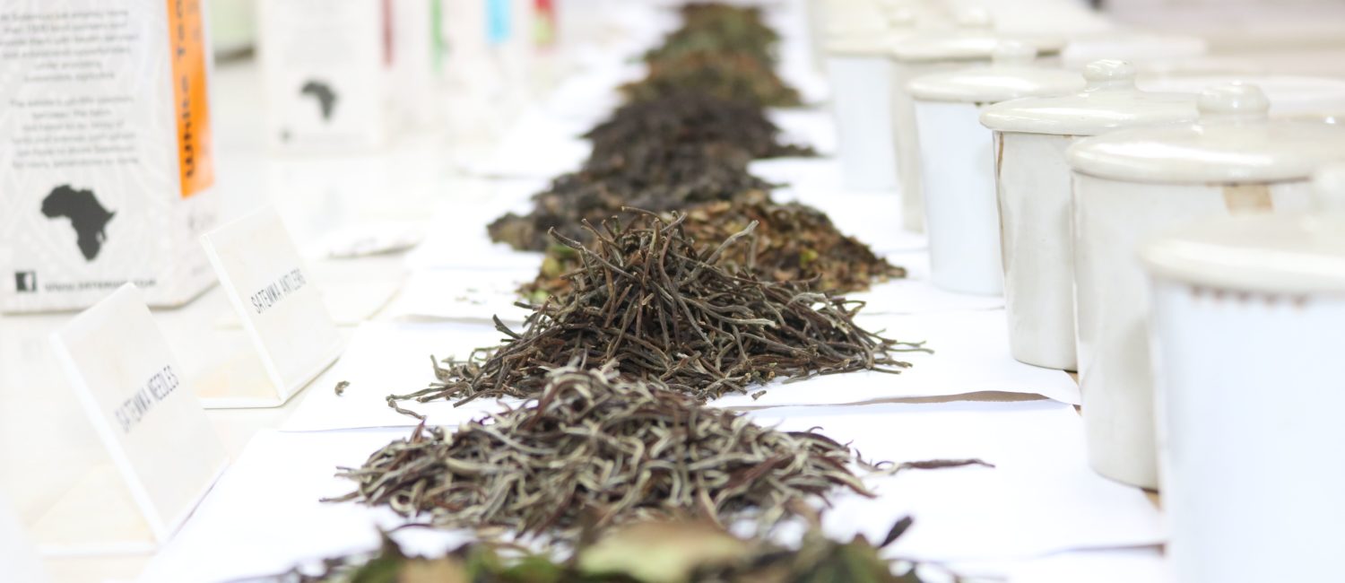 Tea tasting
