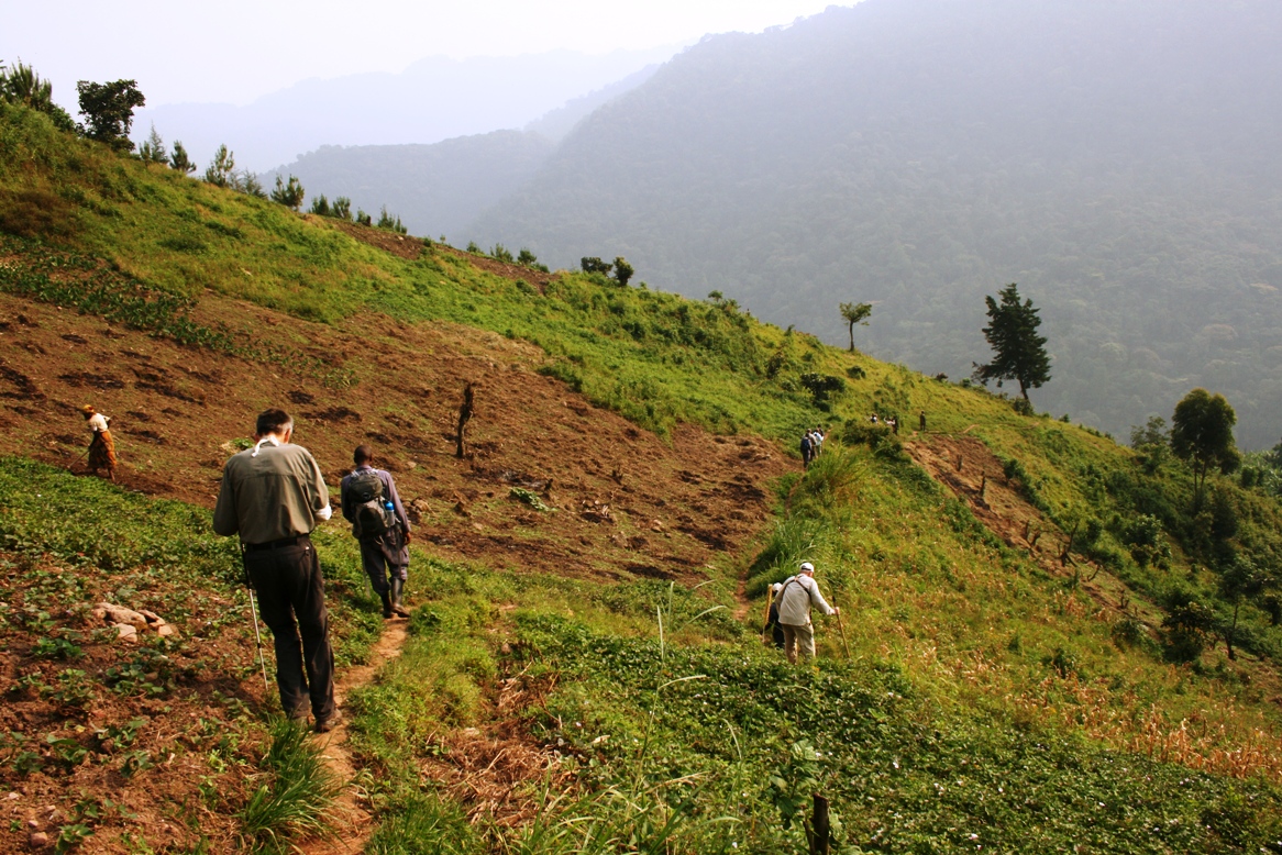 Bwindi gorilla trekkign Uganda