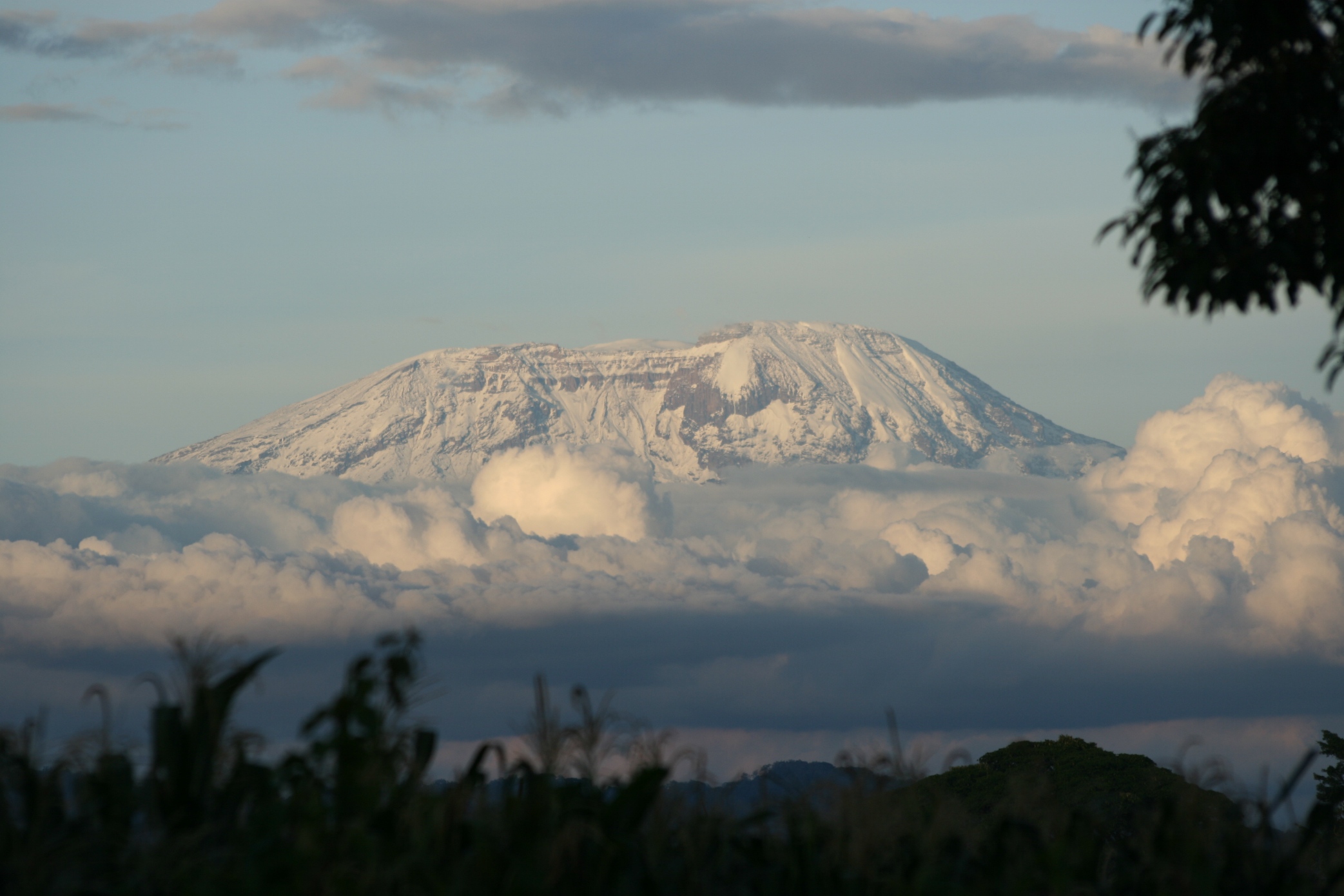 Mt Kilimanjaro