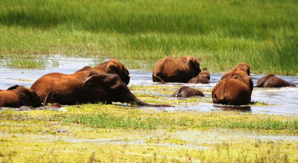 Tanzania 03.2013 166