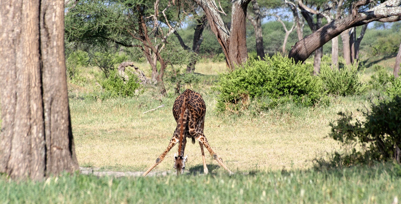 IMG_6972_edited (2)