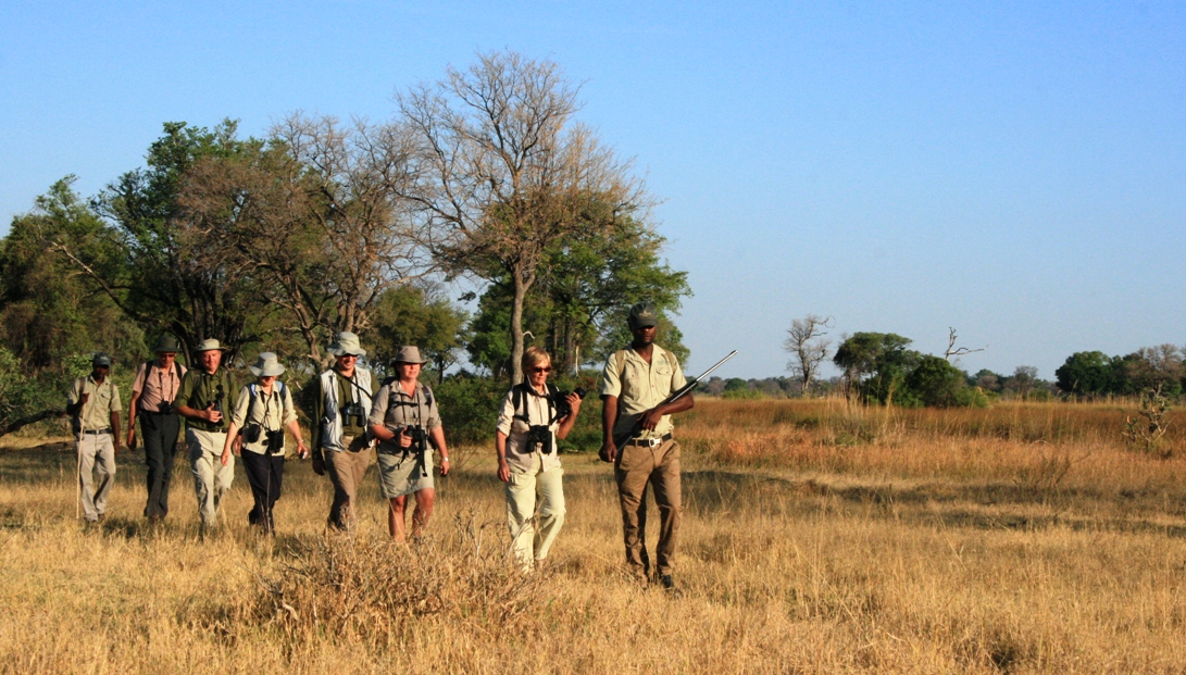 Walking safari, Botswana