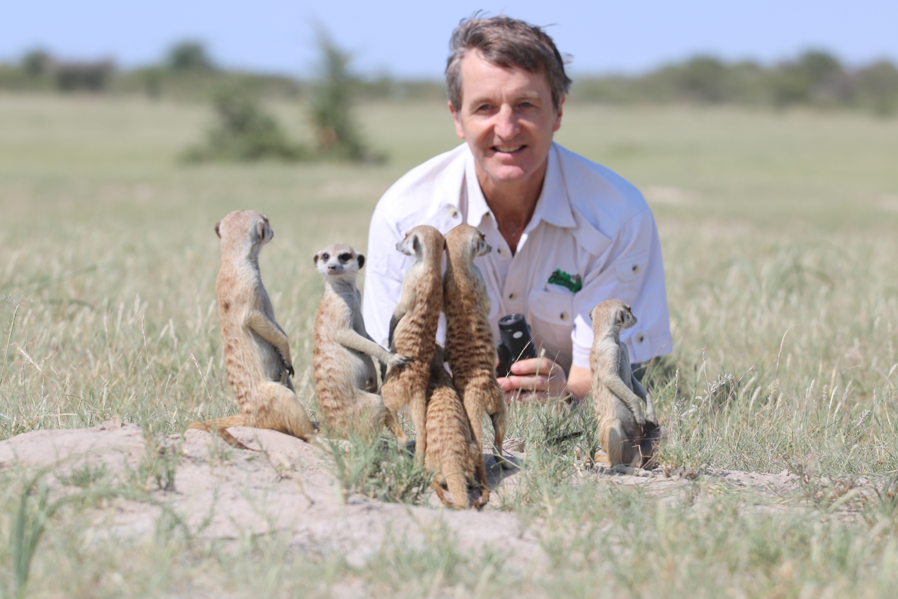 AGLB and meerkats